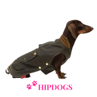 tQel – Mode & Accessoires voor Teckels tQel Teckel jas Waxcoat Barbour Olive Green