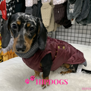 tQel – Mode & Accessoires voor Teckels tQel Teckel jas Maroon Quilted waterproof Parka met col Simon wine red