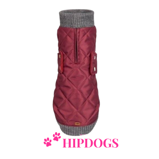 tQel – Mode & Accessoires voor Teckels tQel Teckel jas Maroon Quilted waterproof Parka met col  Simon wine red