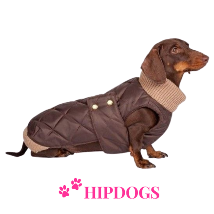 tQel – Mode & Accessoires voor Teckels tQel Teckel jas Maroon Quilted waterproof Parka met col Simon Choco