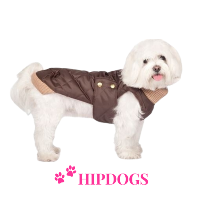 tQel – Mode & Accessoires voor Teckels tQel Teckel jas Maroon Quilted waterproof Parka met col Simon Choco