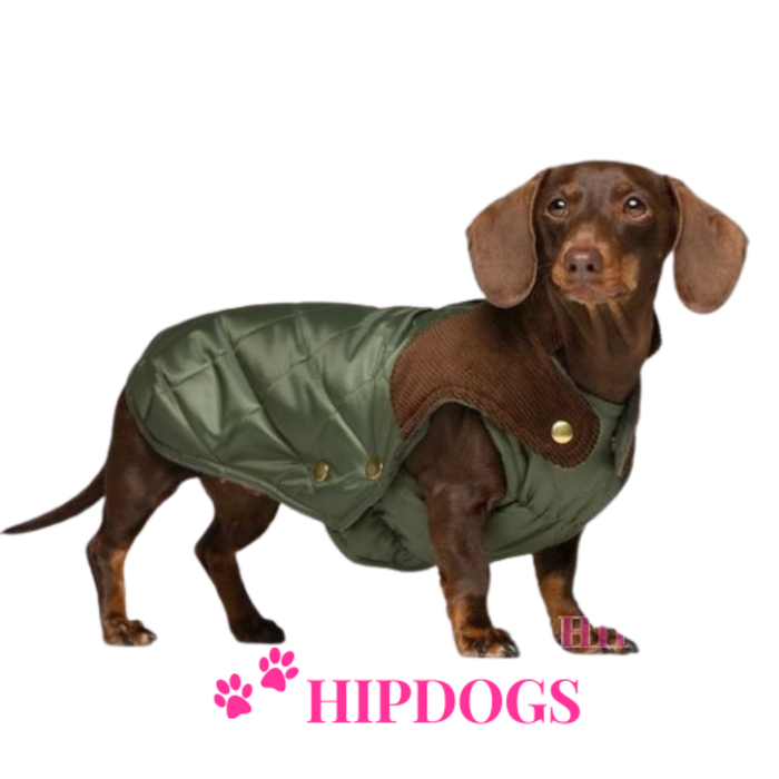 tQel – Mode & Accessoires voor Teckels tQel Teckel jas Quilted waterproof coat Willy Olive