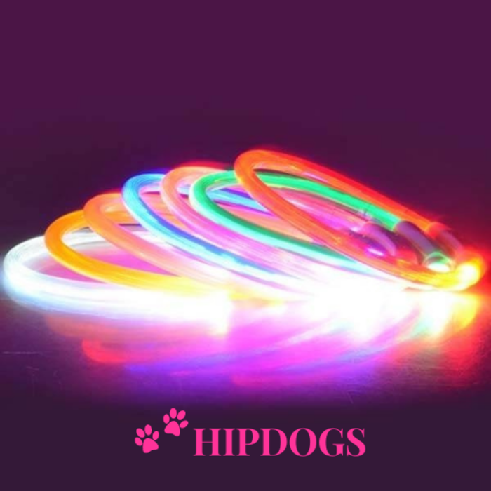 Trixie Trixie USB Flash Lichtgevende honden halsband groen