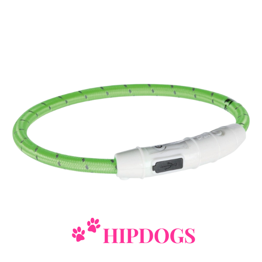 Trixie Trixie USB Flash Lichtgevende honden halsband groen
