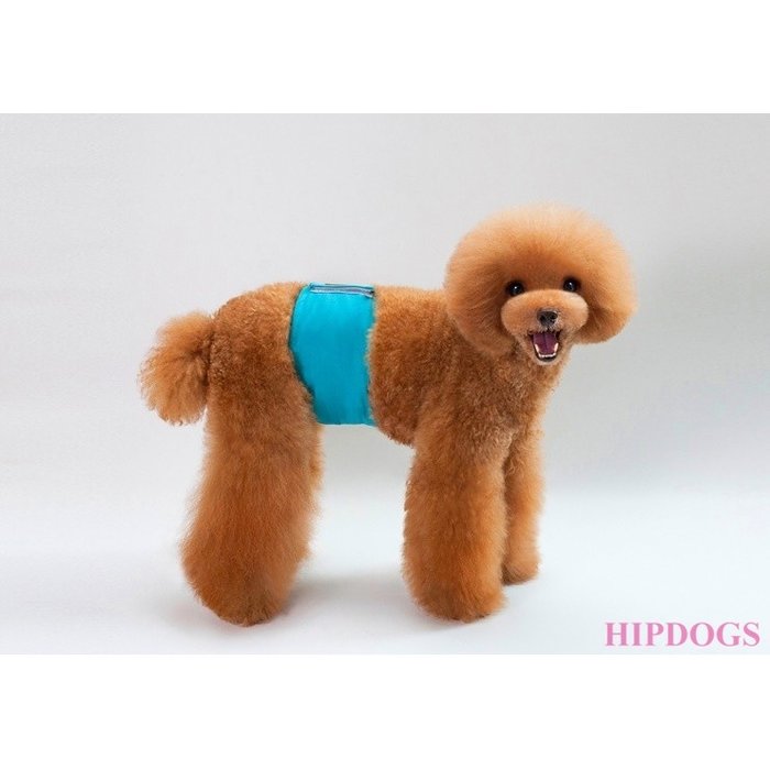 Overigen Dogstyle Plasband licht groen