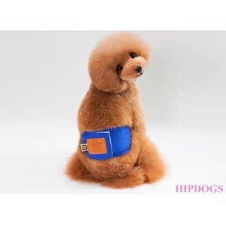 Overigen Dogstyle Plasband blauw