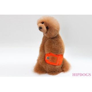 Overigen Dogstyle Plasband oranje