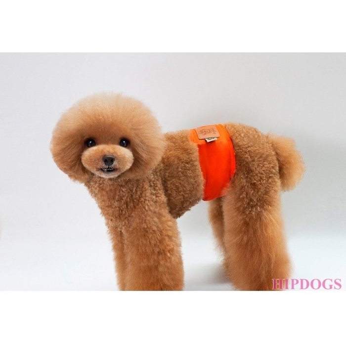 Overigen Dogstyle Plasband oranje