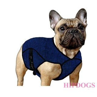 Overigen Aqua Coolkeeper Cooling Pet jacket Pacific blue
