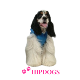 Puppy Angel Puppy Angel Honden regenjas Fifth Avenue Blauw - 4XL
