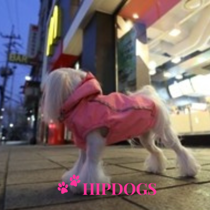 Puppy Angel Puppy Angel Honden regenjas Bimane Pink maat S