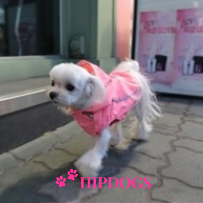 Puppy Angel Puppy Angel Honden regenjas Bimane Pink maat S