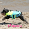 Puppy Angel Honden zwemvest Dog Life Vest Blauw