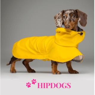 tQel – Mode & Accessoires voor Teckels tQel honden regenjas TinTin yellow
