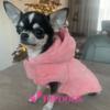 Overigen Bobby honden sweater "Cool" roze