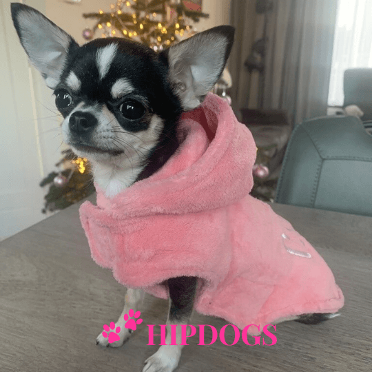 Overigen Bobby Honden trui roze met tekst "Cool"