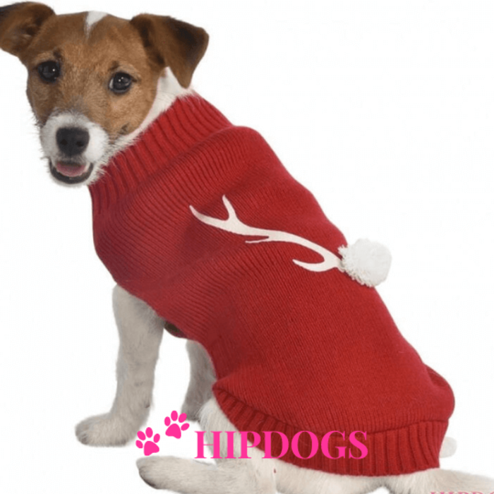 Overigen Bobby Honden Kerst trui Ralph