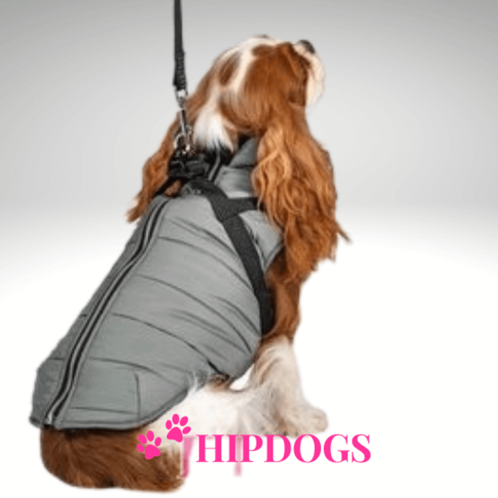 Overigen Bobby Honden winterjas Fast grijs 2 in 1