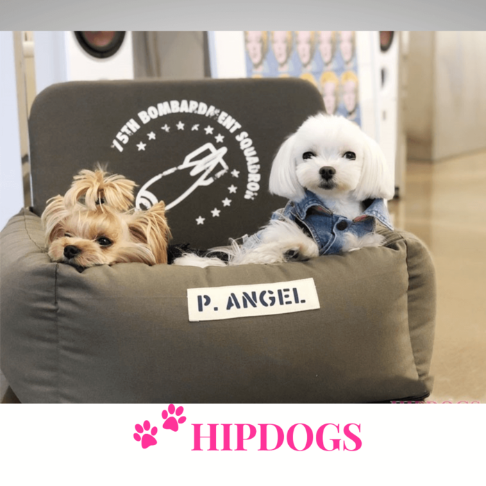 Puppy Angel Puppy Angel Honden autostoeltje Angione Rocket Driving kit