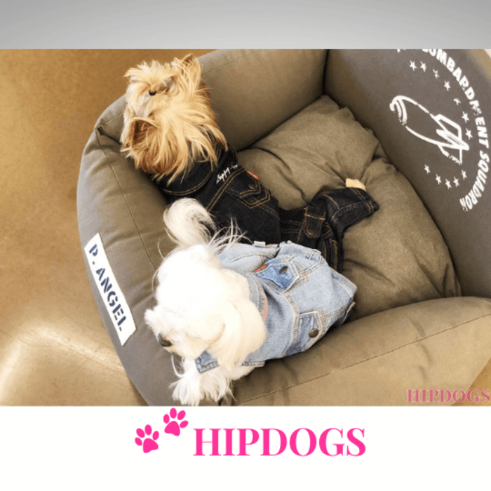 Puppy Angel Puppy Angel Honden autostoeltje Angione Rocket Driving kit