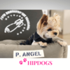 Puppy Angel Honden autostoeltje Angione Rocket Driving kit