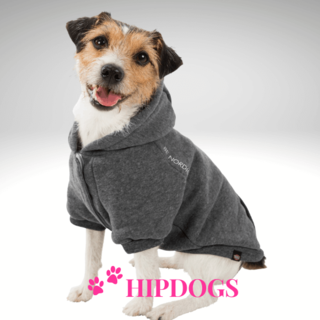 Trixie Trixie Honden trui Be Nordic Hoodie Flensburg grijs