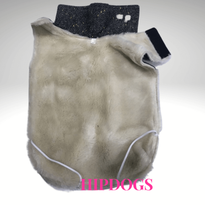 tQel – Mode & Accessoires voor Teckels tQel Hondenjas Gilda wool Teckel