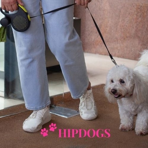 Flexilijnen & uitlooplijnen