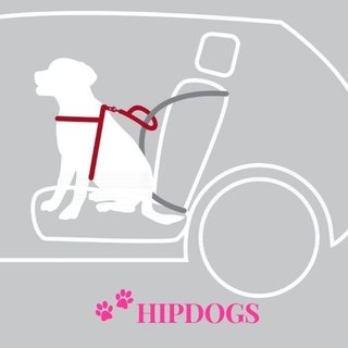 Trixie Winterjas Pontis Reflect | Hond | Bestellen