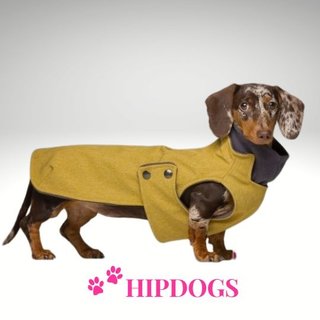 tQel – Mode & Accessoires voor Teckels tQel Waterproof Teckeljas Zermatt Mustard