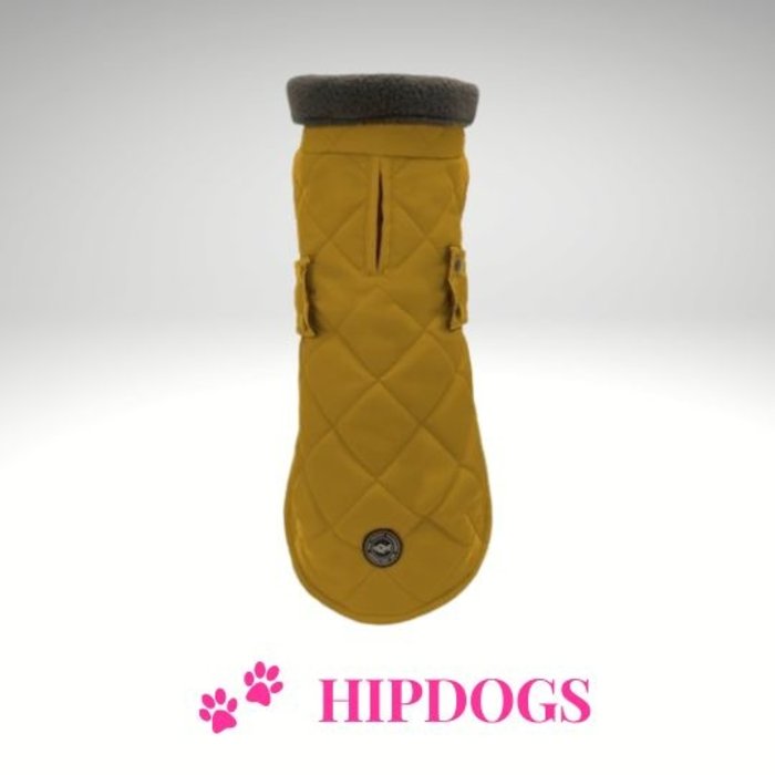 tQel – Mode & Accessoires voor Teckels tQel teckel jas Maxi Gold Waterproof