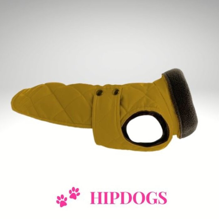 tQel – Mode & Accessoires voor Teckels tQel teckel jas Maxi Gold Waterproof