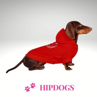 tQel – Mode & Accessoires voor Teckels tQel Honden sweater California Red