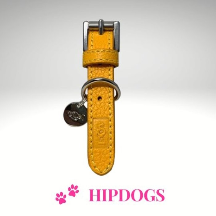 tQel – Mode & Accessoires voor Teckels tQel gele leren honden halsband Sol