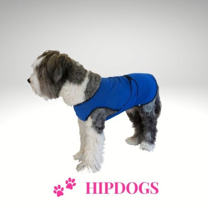 Overigen Dog CoolCoat Honden Koelvest