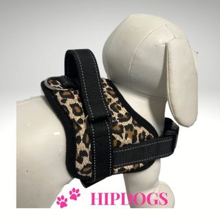 Overigen Honden harnas Panter print