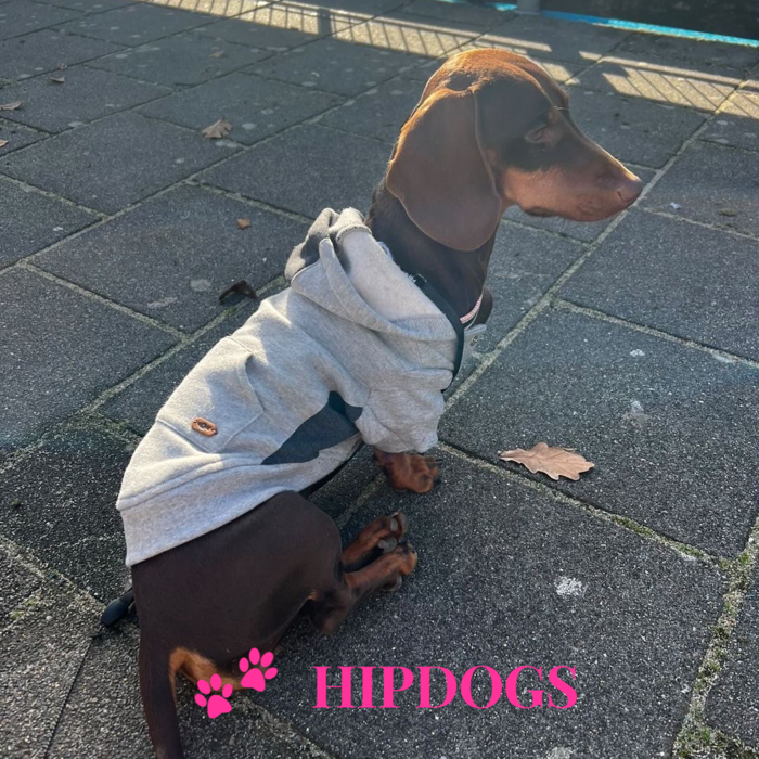 tQel – Mode & Accessoires voor Teckels tQel Honden sweater Boston Grey