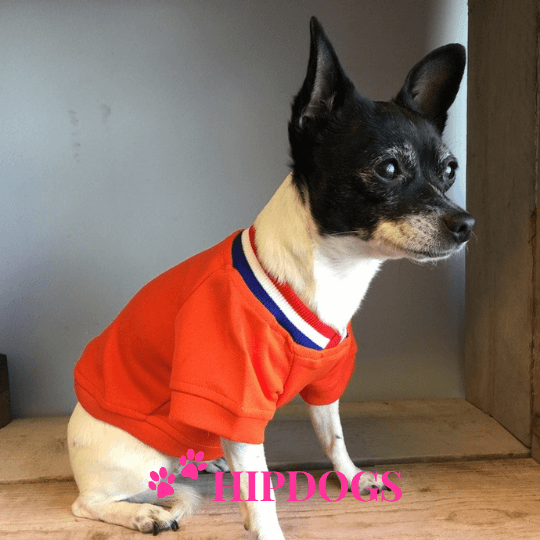 Honden shirts voor voetbal