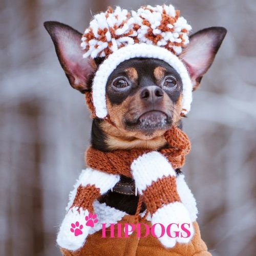 Honden sjaals en bandana's
