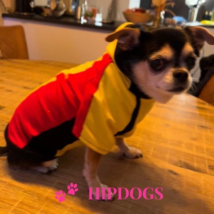 Overigen Honden voetbal shirt Belgische Vlag