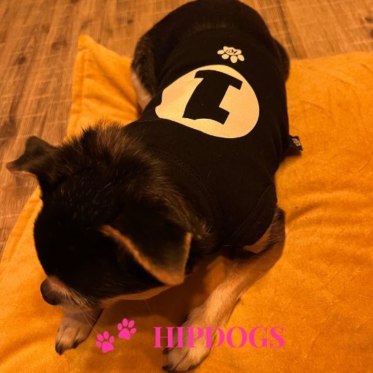verkenner Conjugeren Beneden afronden K9 by Igloo zwart honden t-shirt nummer 1 - Hipdogs
