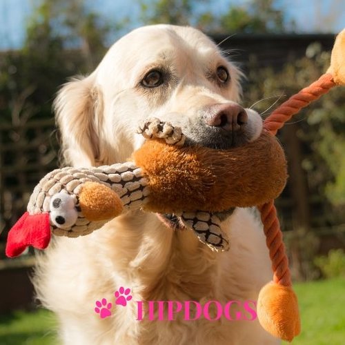 Speelgoed grote hond