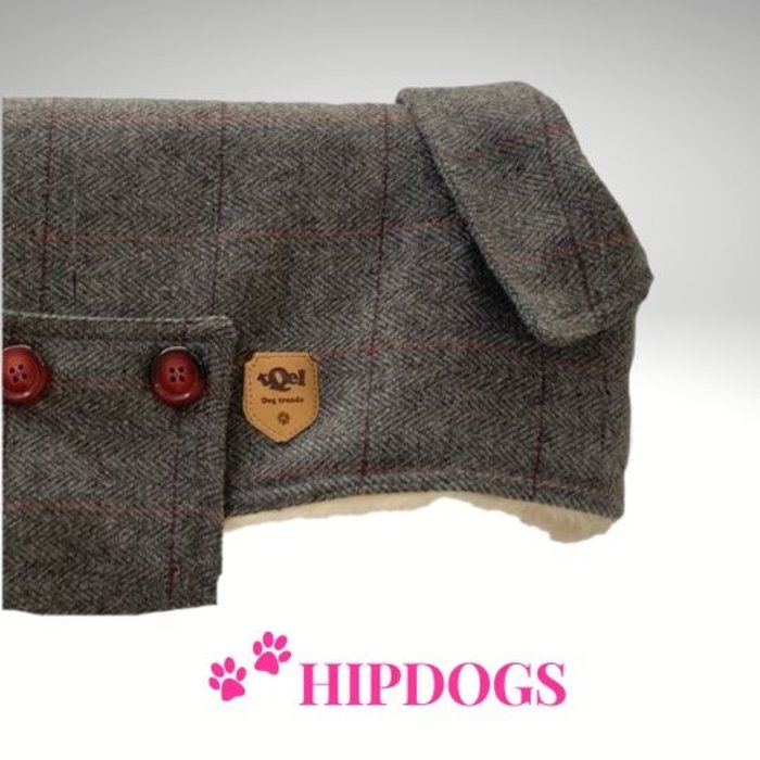 tQel – Mode & Accessoires voor Teckels tQel Hondenjas Morris wool Teckel