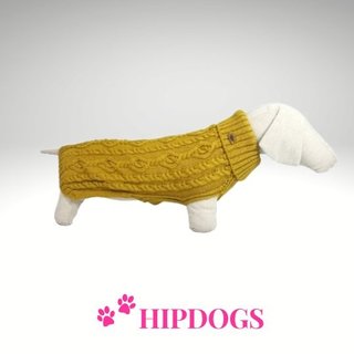 tQel – Mode & Accessoires voor Teckels tQel Teckeltrui Paul Honey