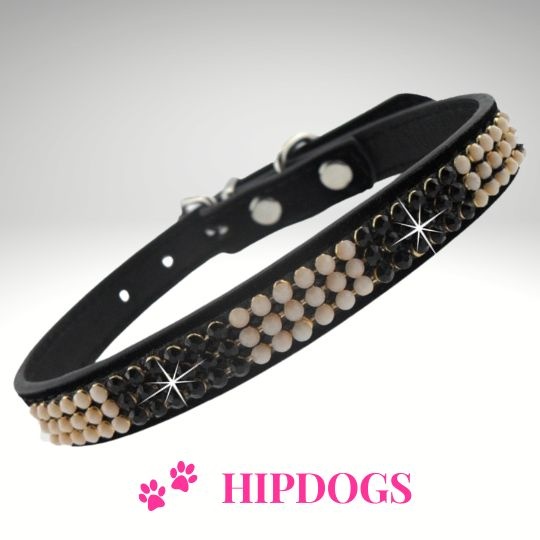 Luchten Gemengd interview Honden halsband Chica Zwart - Hipdogs