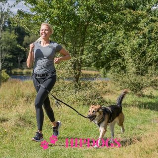 Trixie Trixie Heupriem met hondenlijn voor hardlopen