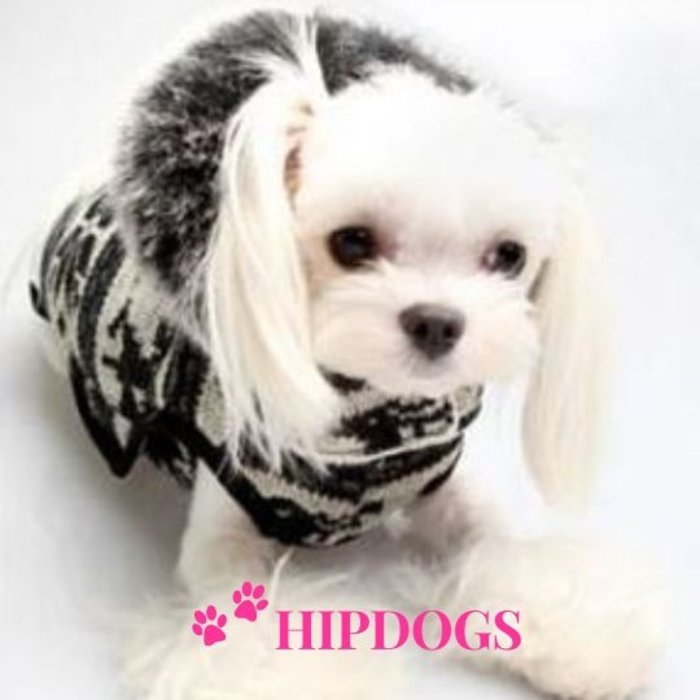 Puppy Angel Puppy Angel Snow Flake Gevoerde honden jasje