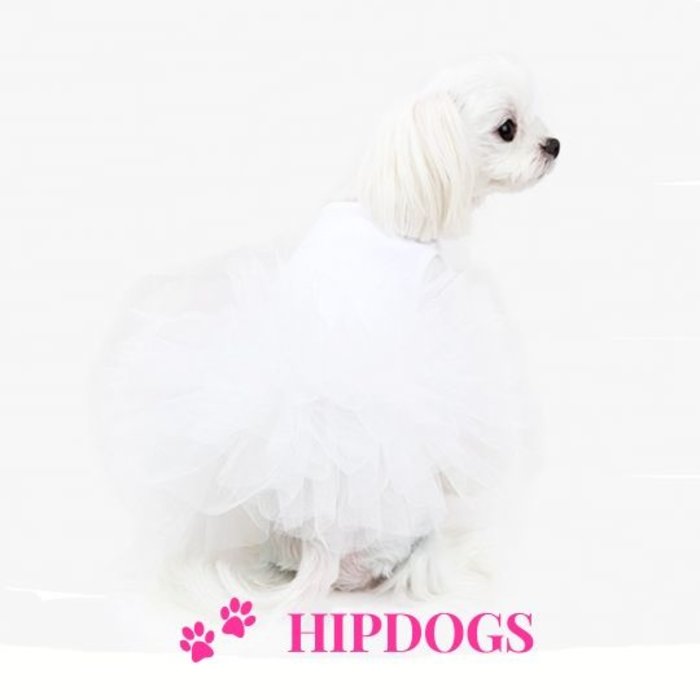Puppy Angel Puppy Angel honden jurkje TuTu white
