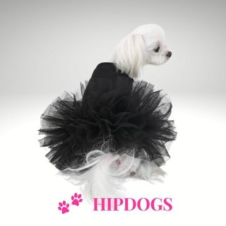 Puppy Angel Puppy Angel honden jurkje TuTu Black