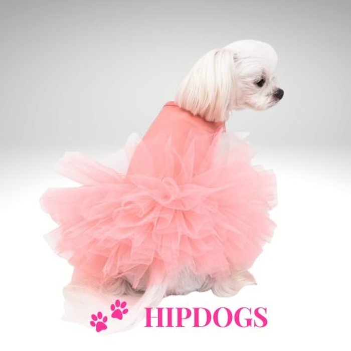 Puppy Angel Puppy Angel honden jurkje TuTu roze